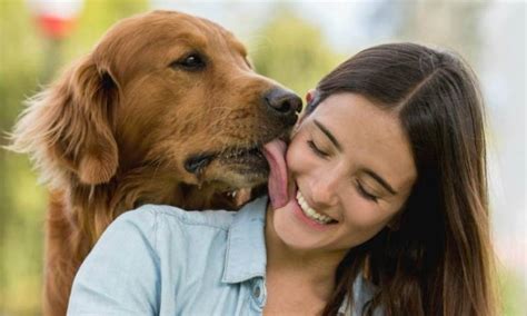 mujeres follando con perros grandes|Mira vídeos porno auténticos de zoofilia con animales gratis